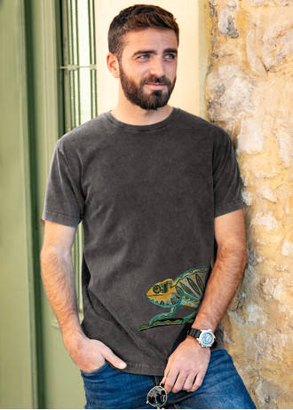 Chameleon - Stonewashed T-Shirts