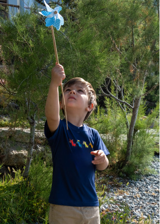 Colorful Cartoon Donkeys - T-Shirts